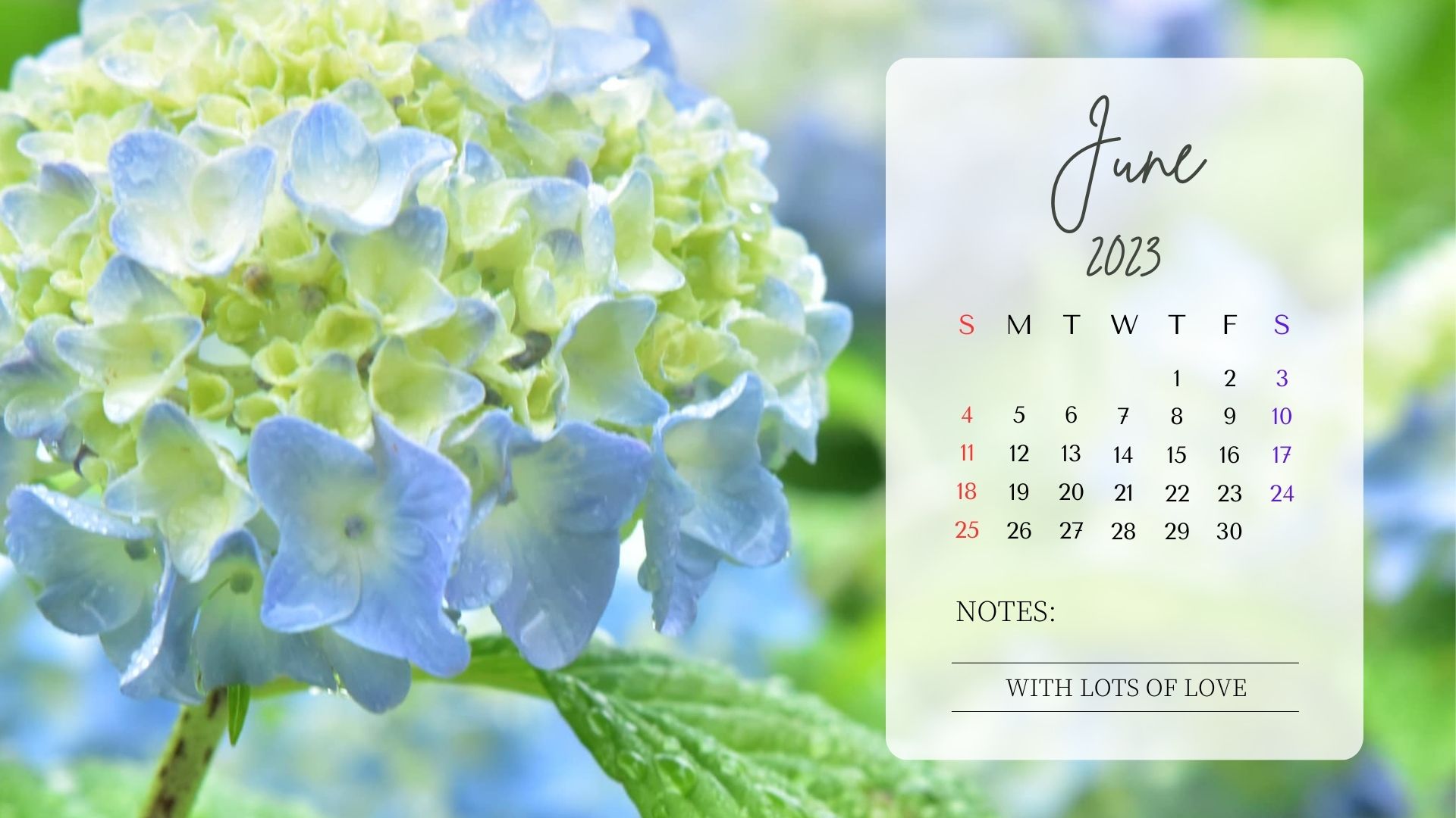 2023年6月カレンダー